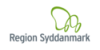 Bandera Region Syddanmark